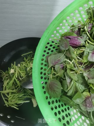 蒜末清炒苋菜的做法步骤：4