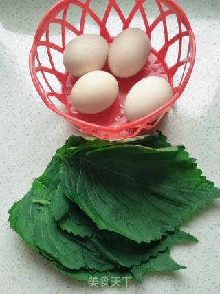 苏子叶煎鸡蛋的做法步骤：1