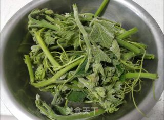 蒸菜——南瓜芽尖的做法步骤：1
