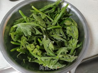 蒸菜——南瓜芽尖的做法步骤：2