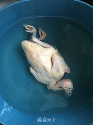 花胶咸肉炖乳鸽的做法步骤：1
