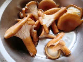 炖乌脚鸡的做法步骤：2