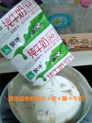 鱼胶姜奶的做法步骤：2