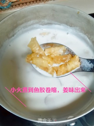 鱼胶姜奶的做法步骤：3
