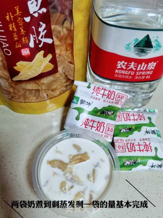 鱼胶姜奶的做法步骤：4