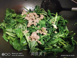 肉片炒红薯叶的做法步骤：6
