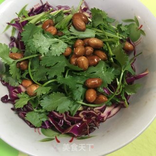 香菜拌紫甘蓝的做法步骤：4