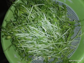 辣炒豌豆苗的做法步骤：1
