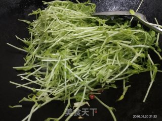 辣炒豌豆苗的做法步骤：5