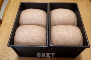 波兰种黑全麦乳清吐司的做法步骤：17