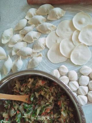 罗非鱼韭菜苔蘑菇水饺的做法步骤：5