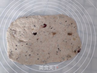 燕麦面包（可制作三明治）的做法步骤：5