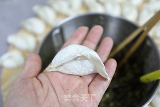酱香茄子水饺的做法步骤：12