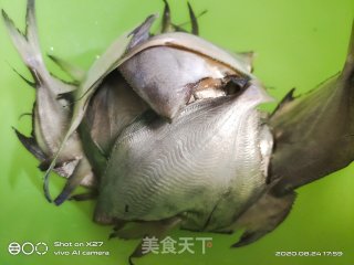 嫩姜焖鱼的做法步骤：2