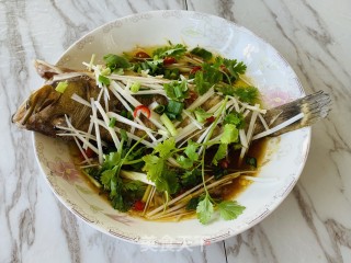 火麻仁清蒸石斑鱼的做法步骤：3