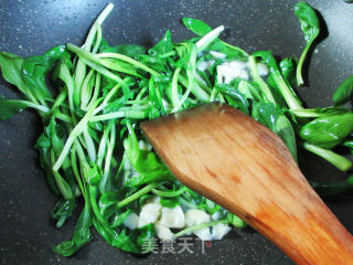 鸡毛菜炒粉皮的做法步骤：4