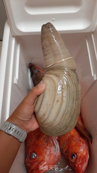象牙蚌刺身的做法步骤：1