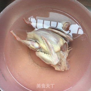 元蘑粉丝炖鸽子的做法步骤：8