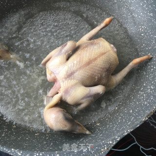元蘑粉丝炖鸽子的做法步骤：10