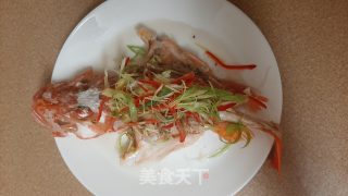 清蒸红石斑的做法步骤：5