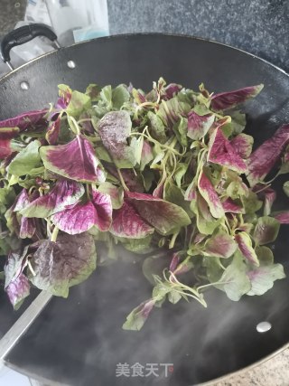 蒜泥红苋菜的做法步骤：3
