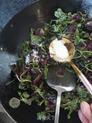 蒜泥红苋菜的做法步骤：4
