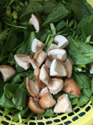 鲜香菇炒菜秧的做法步骤：1