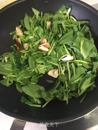 鲜香菇炒菜秧的做法步骤：3