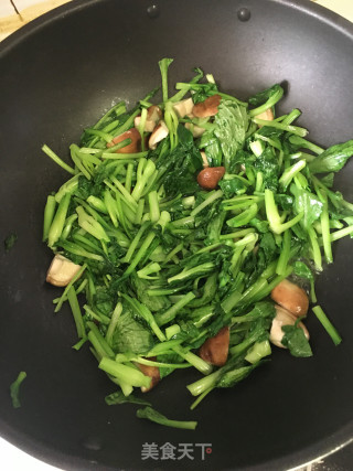 鲜香菇炒菜秧的做法步骤：4