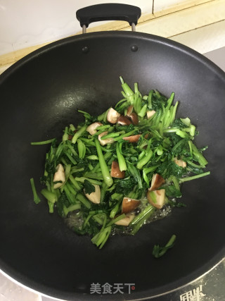 鲜香菇炒菜秧的做法步骤：5