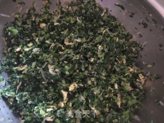 小白菜素包子的做法步骤：10