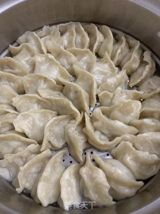 芹菜猪肉蒸饺的做法步骤：5