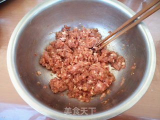 猪肉倭瓜馅水饺的做法步骤：5