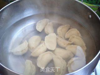 猪肉倭瓜馅水饺的做法步骤：10