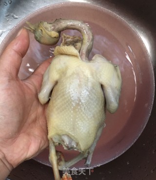 木耳苦瓜炖鸽子的做法步骤：6