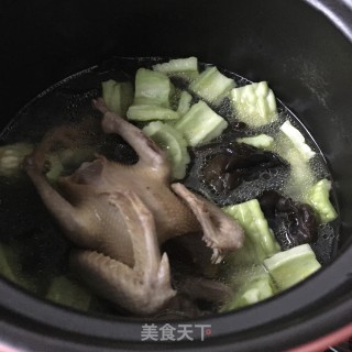 木耳苦瓜炖鸽子的做法步骤：15