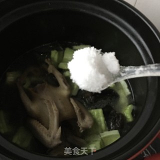 木耳苦瓜炖鸽子的做法步骤：16