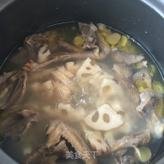 莲藕鸽子汤的做法步骤：15