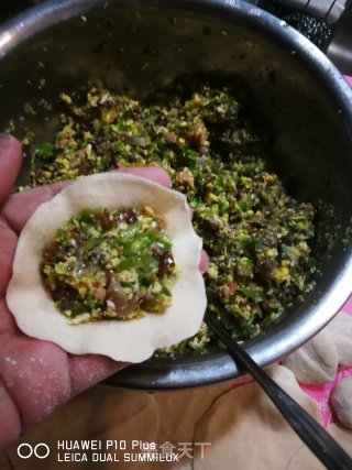 两吃青椒蘑菇饺的做法步骤：19