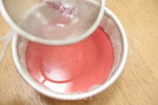 蔓越莓镜面奶酪蛋糕的做法步骤：14
