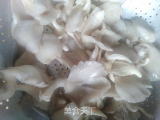 砂锅鱼头汤的做法步骤：4