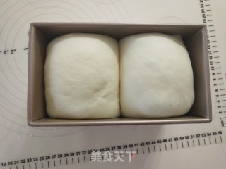 豆浆吐司的做法步骤：13