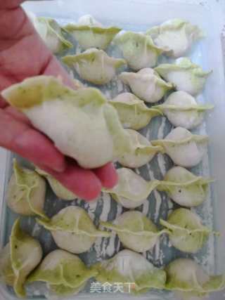 香菇肉水饺的做法步骤：12