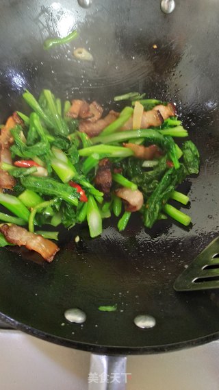 腊肉炒菜心的做法步骤：9