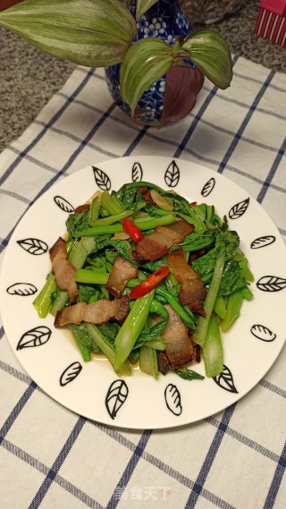 腊肉炒菜心的做法步骤：10