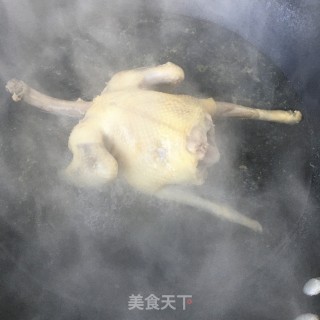 鲍鱼炖鸽子的做法步骤：4