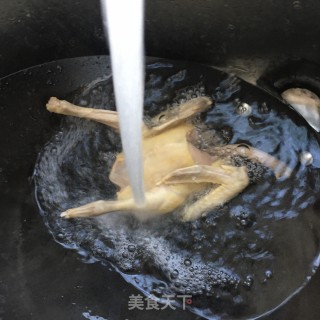 鲍鱼炖鸽子的做法步骤：5