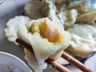 西葫芦虾仁水饺的做法步骤：19