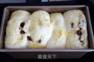 蔓越莓吐司的做法步骤：8