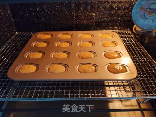 马德琳蛋糕的做法步骤：12